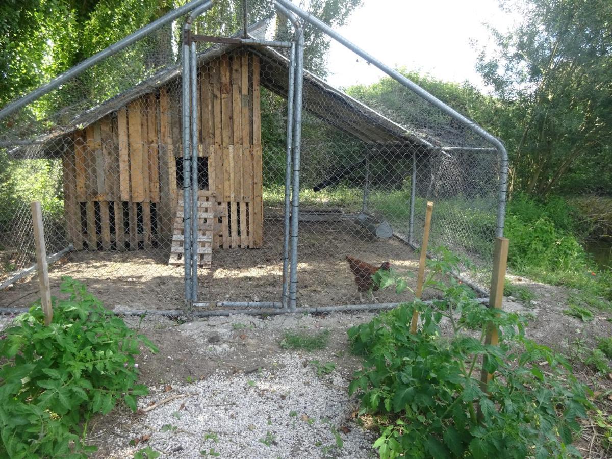 La Ferme De L'Isle Et Sa Roulotte Bed and Breakfast Avaray Exteriör bild