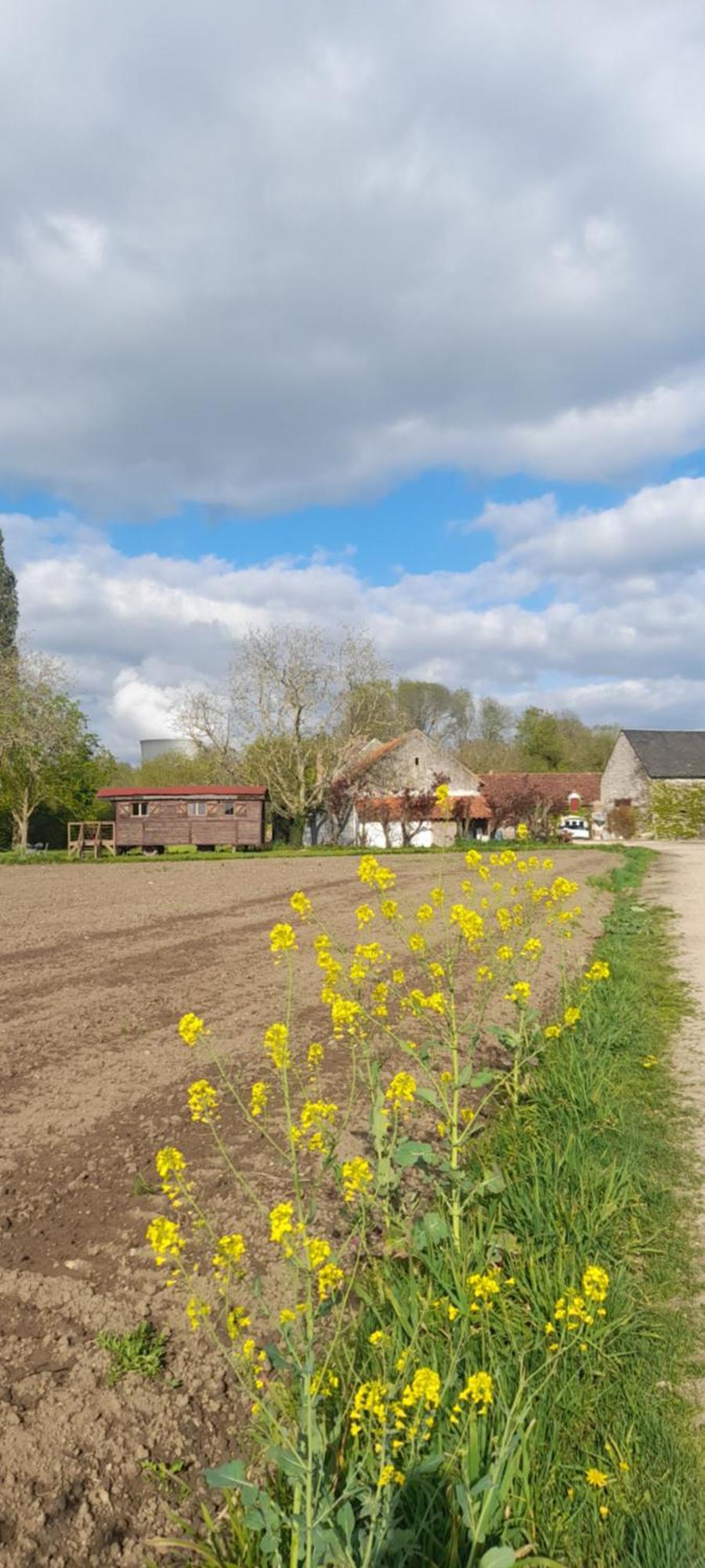 La Ferme De L'Isle Et Sa Roulotte Bed and Breakfast Avaray Exteriör bild